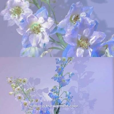 亚博足球外围软件截图